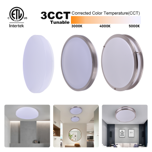 3cct LED Double Ring Ceiling Lamp